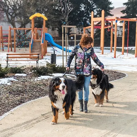 Palac 公寓式酒店